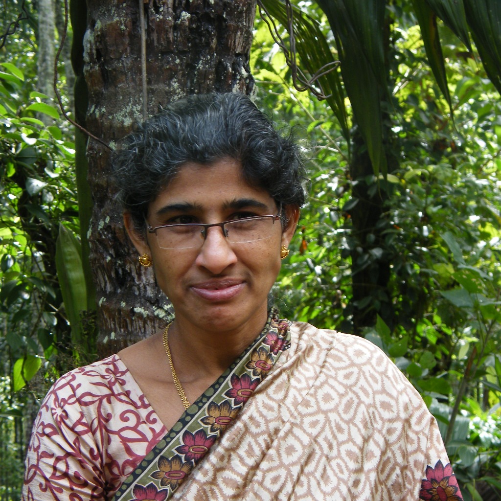 Lisamma